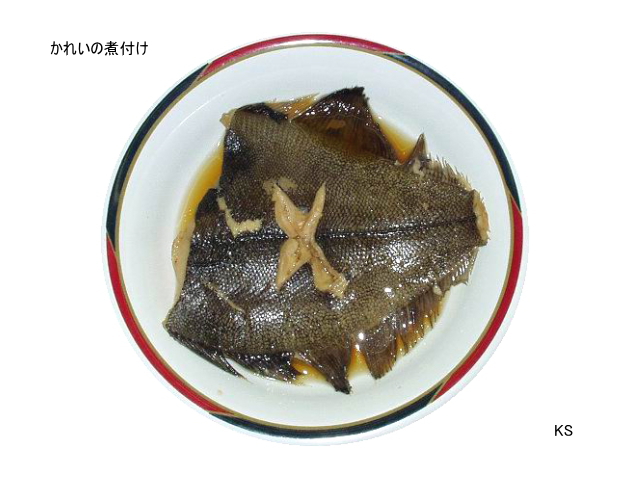 ���줤�μѤĤ�