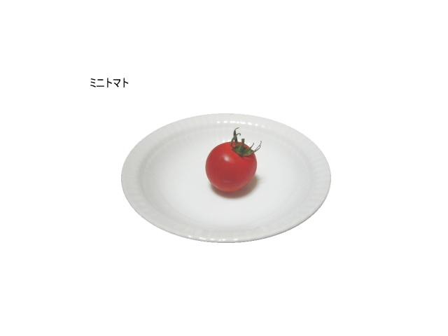 �ߥ˥ȥޥ�