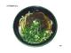 とろろ昆布うどん